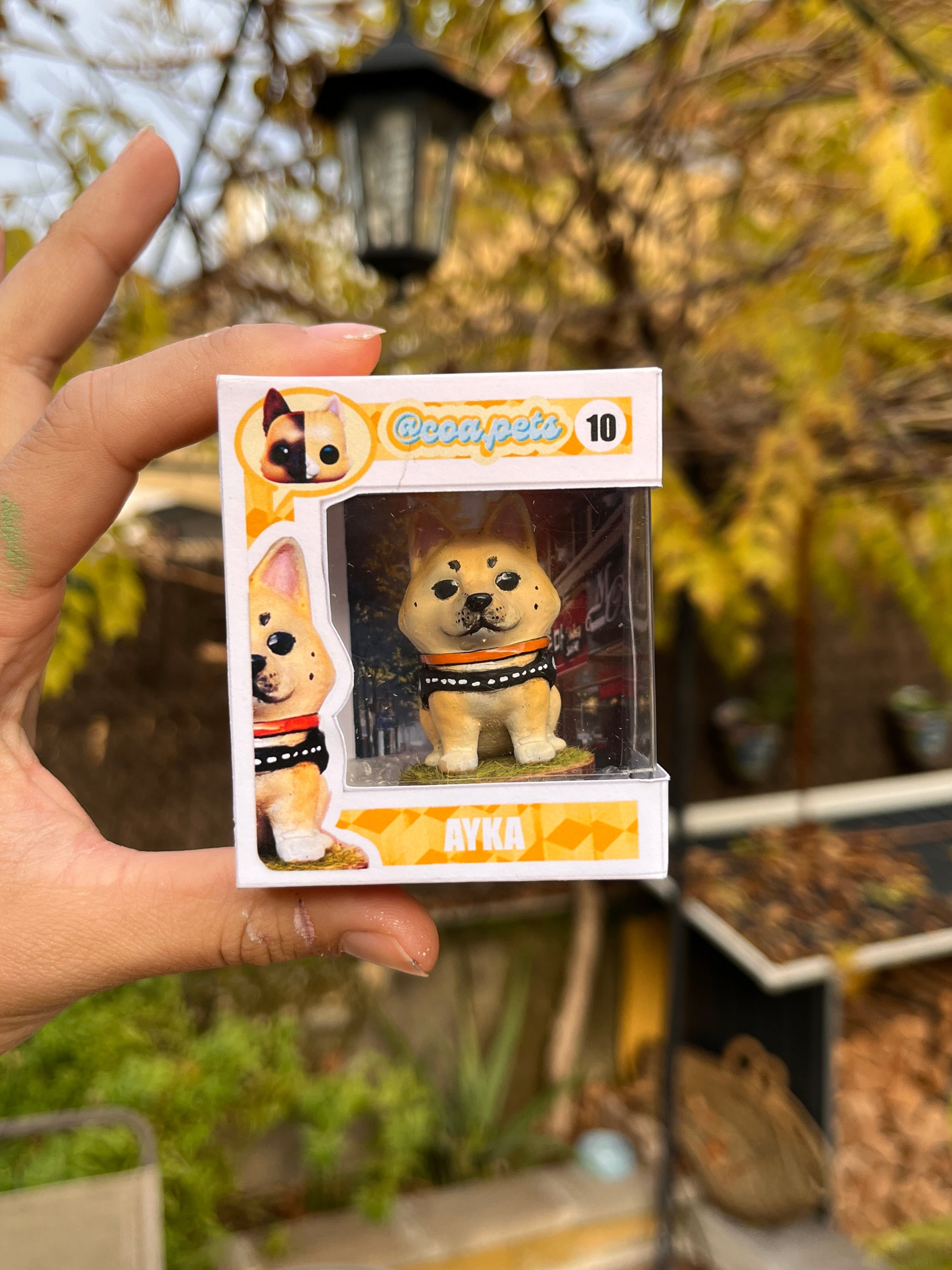 Para regalar