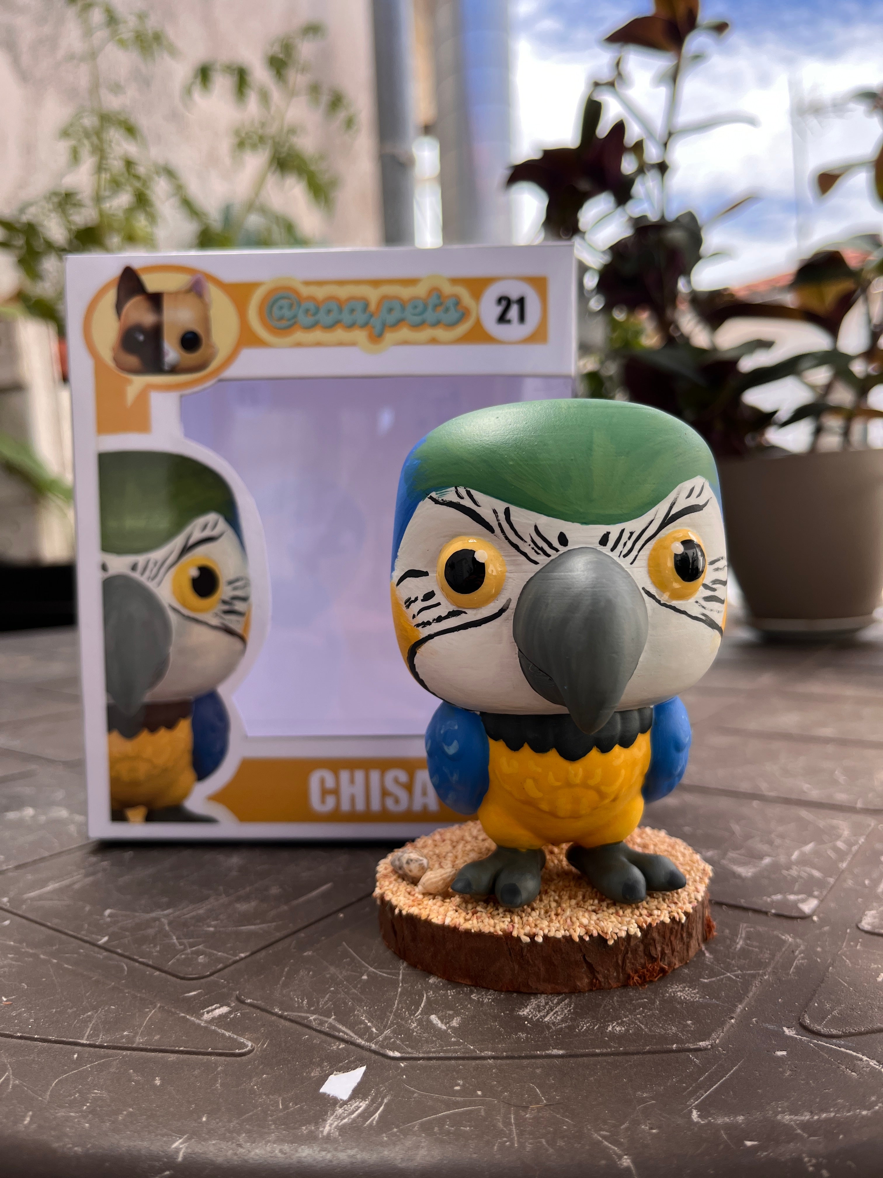 3. Aves