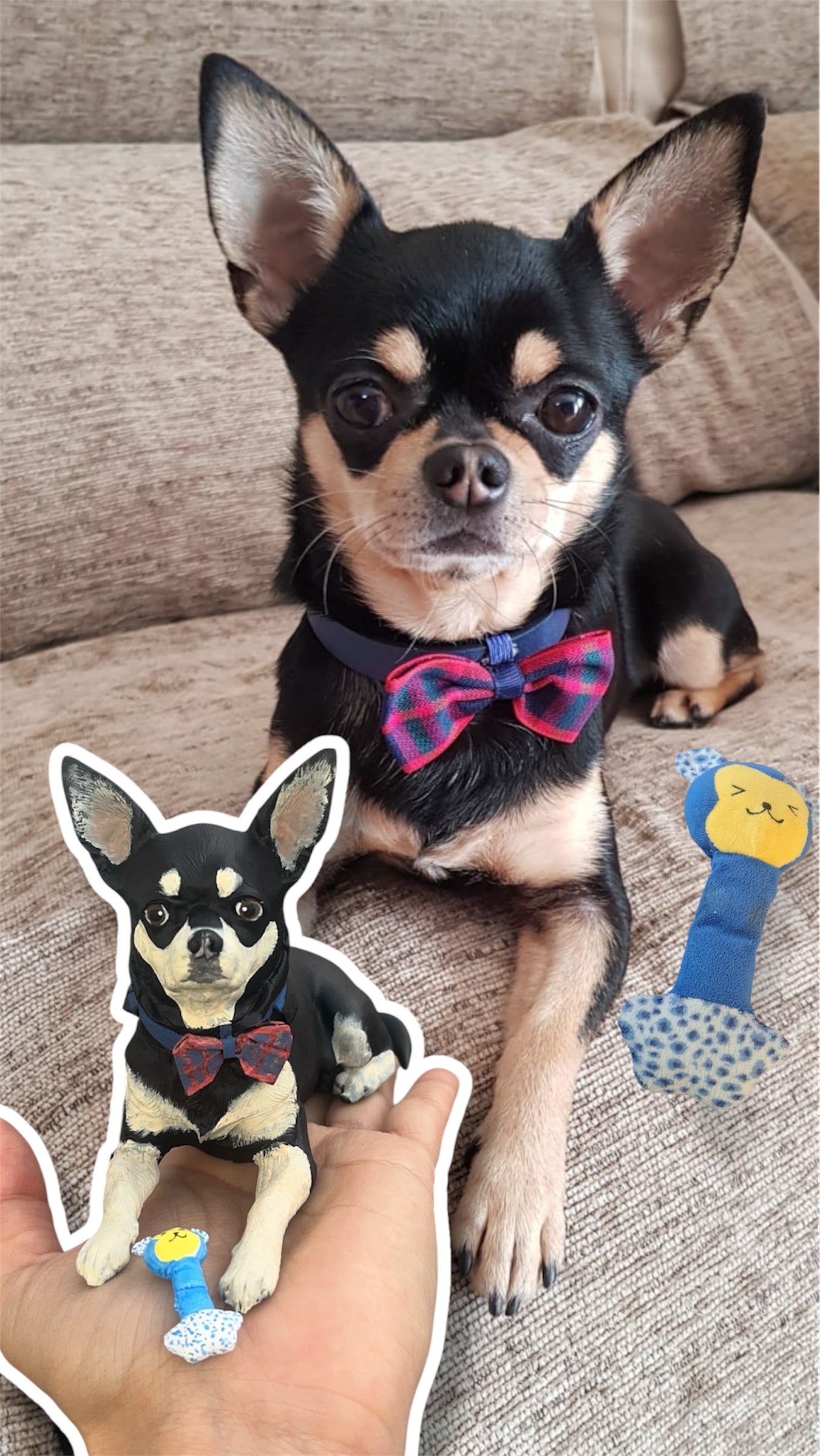 6. Custom Pets