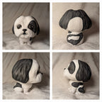 Shih Tzu - cabezón