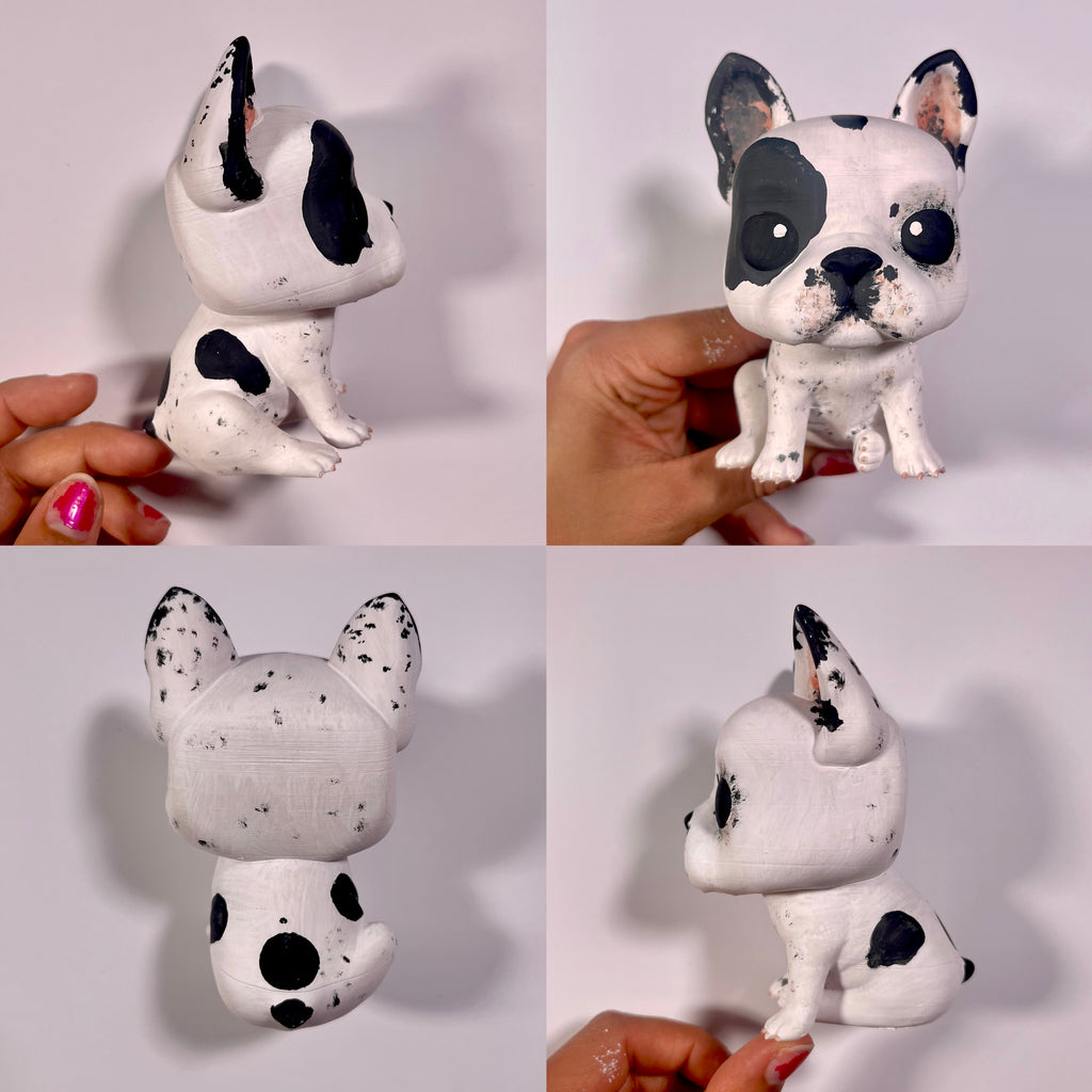 Boston Terrier - Cabezón