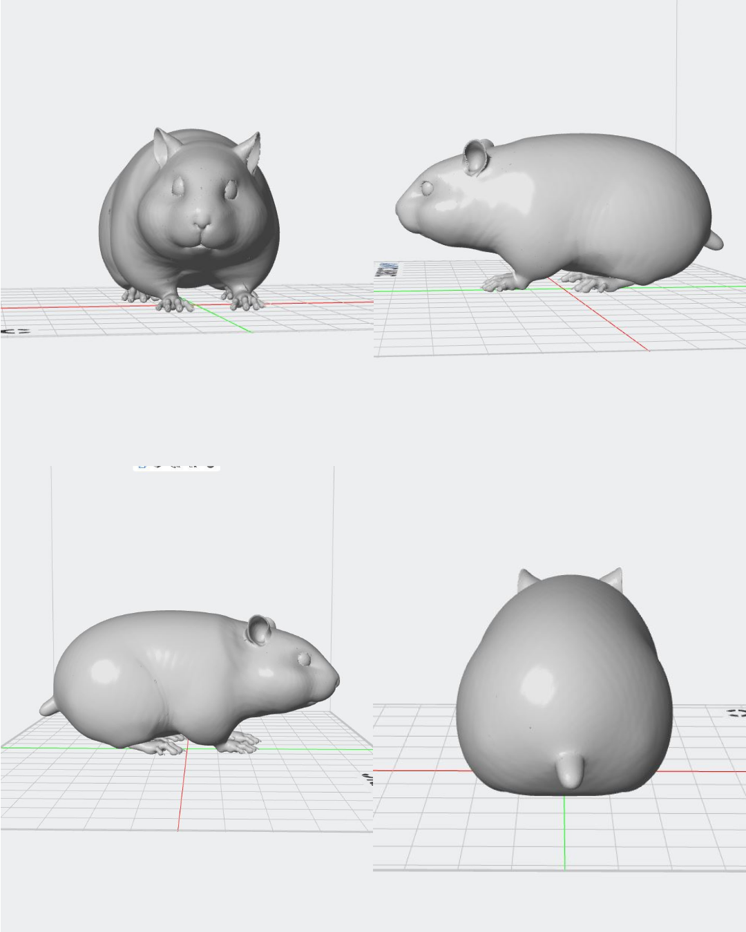 Figura personalizada de mascota : Cobaya sin pelo