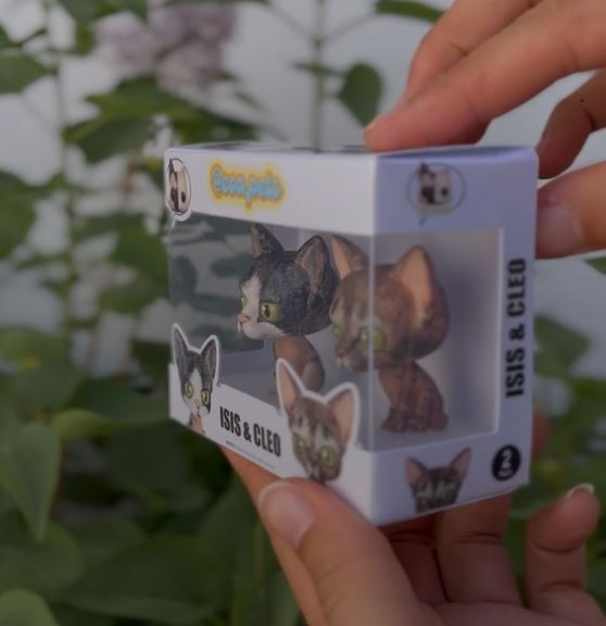 Caja Doble tamaño Medio