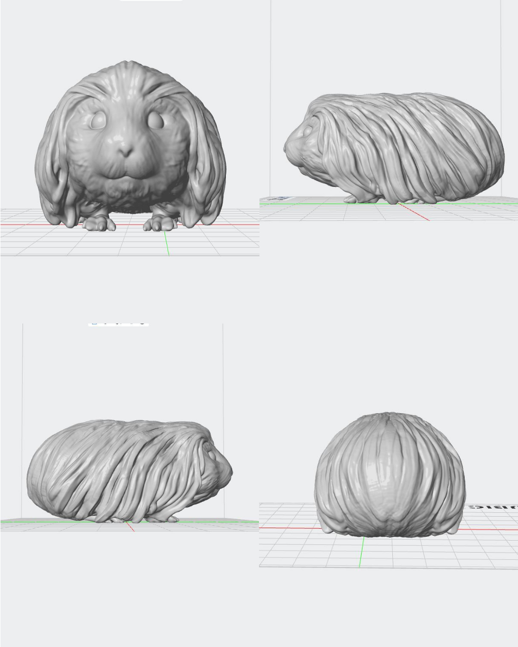 Figura personalizada de mascota : Cobaya peluda