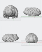 Figura personalizada de mascota : Cobaya peluda