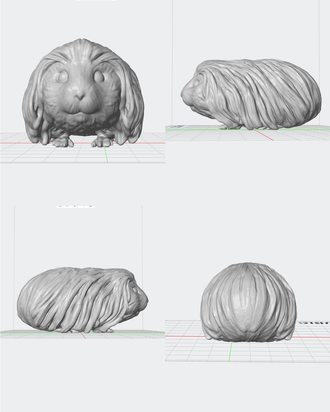 Figura personalizada de mascota : Cobaya peluda