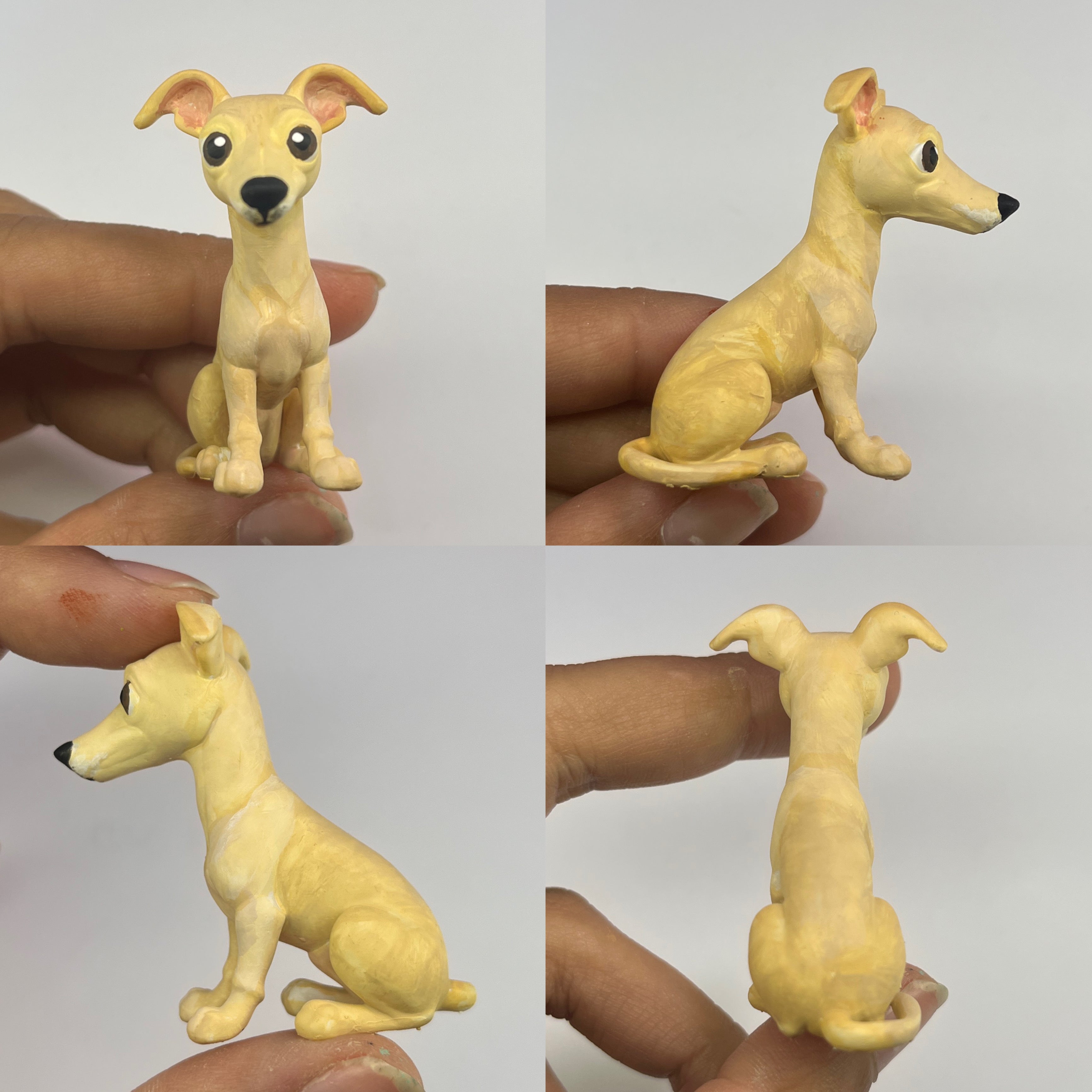 Galgo estilo toy