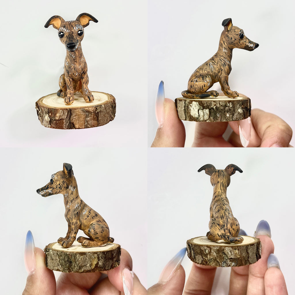 Galgo estilo toy