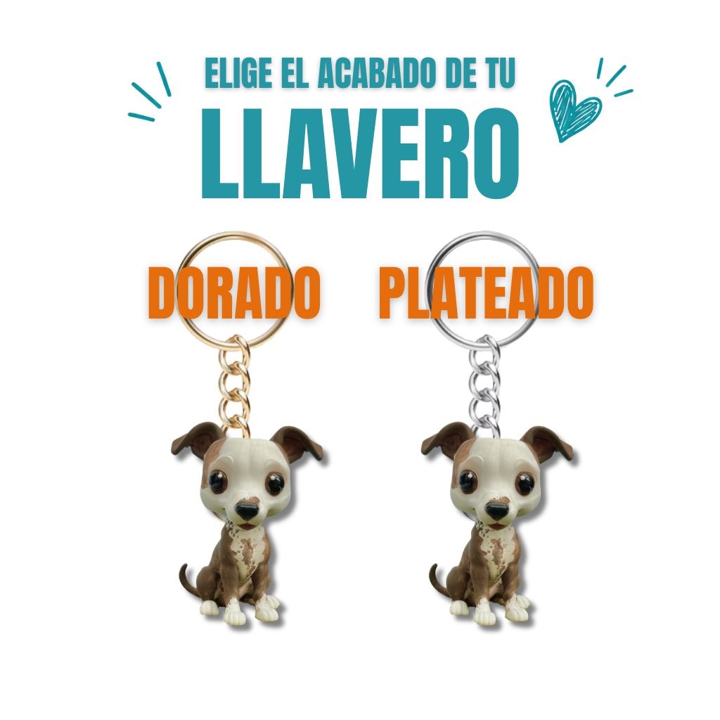 Galgo estilo cabezón