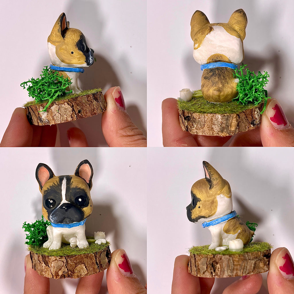 Boston Terrier - Cabezón