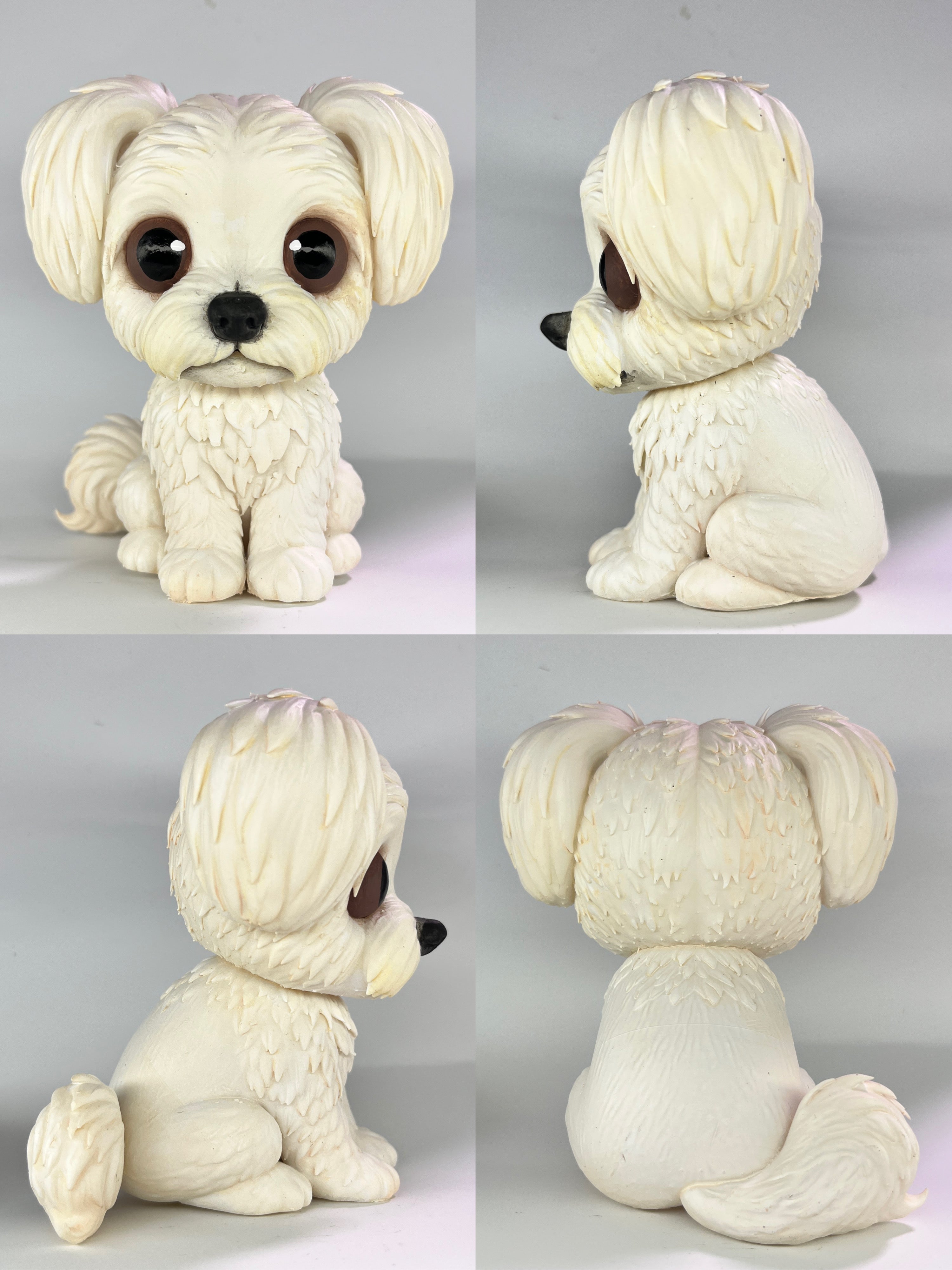 Bichón Maltés - estilo toy con coletas