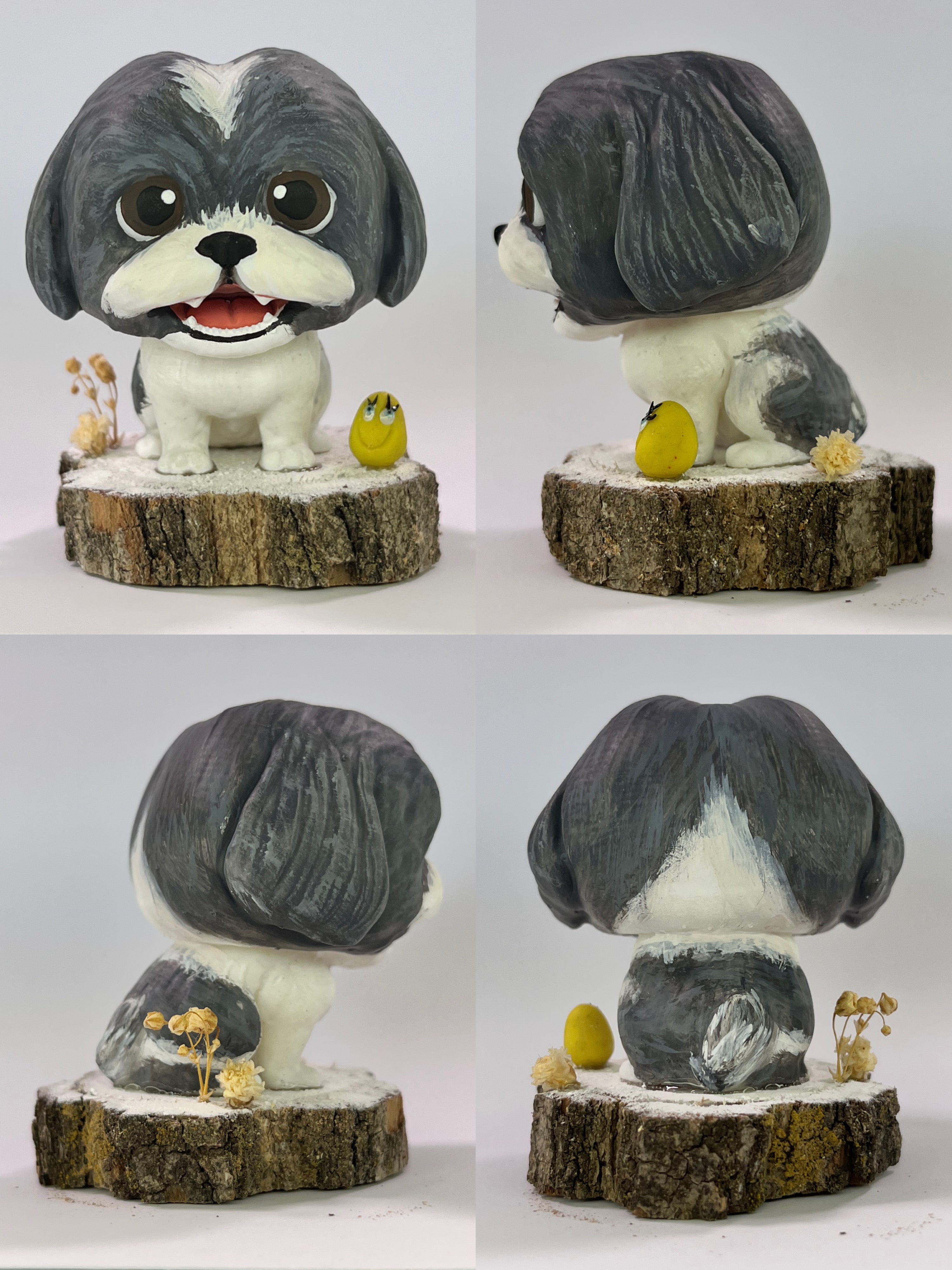 Shih Tzu - cabezón