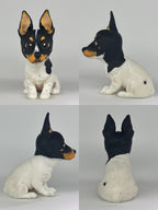Bodeguero Andaluz estilo toy orejas erguidas