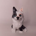 Border Collie - orejas en punta estilo toy