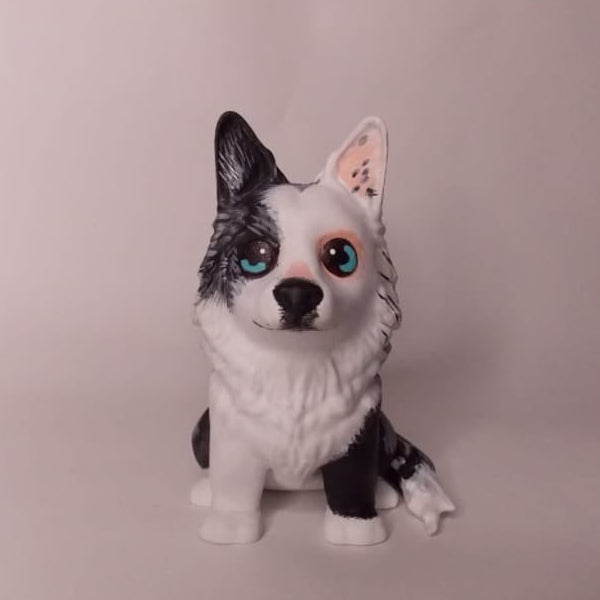 Border Collie - orejas en punta estilo toy