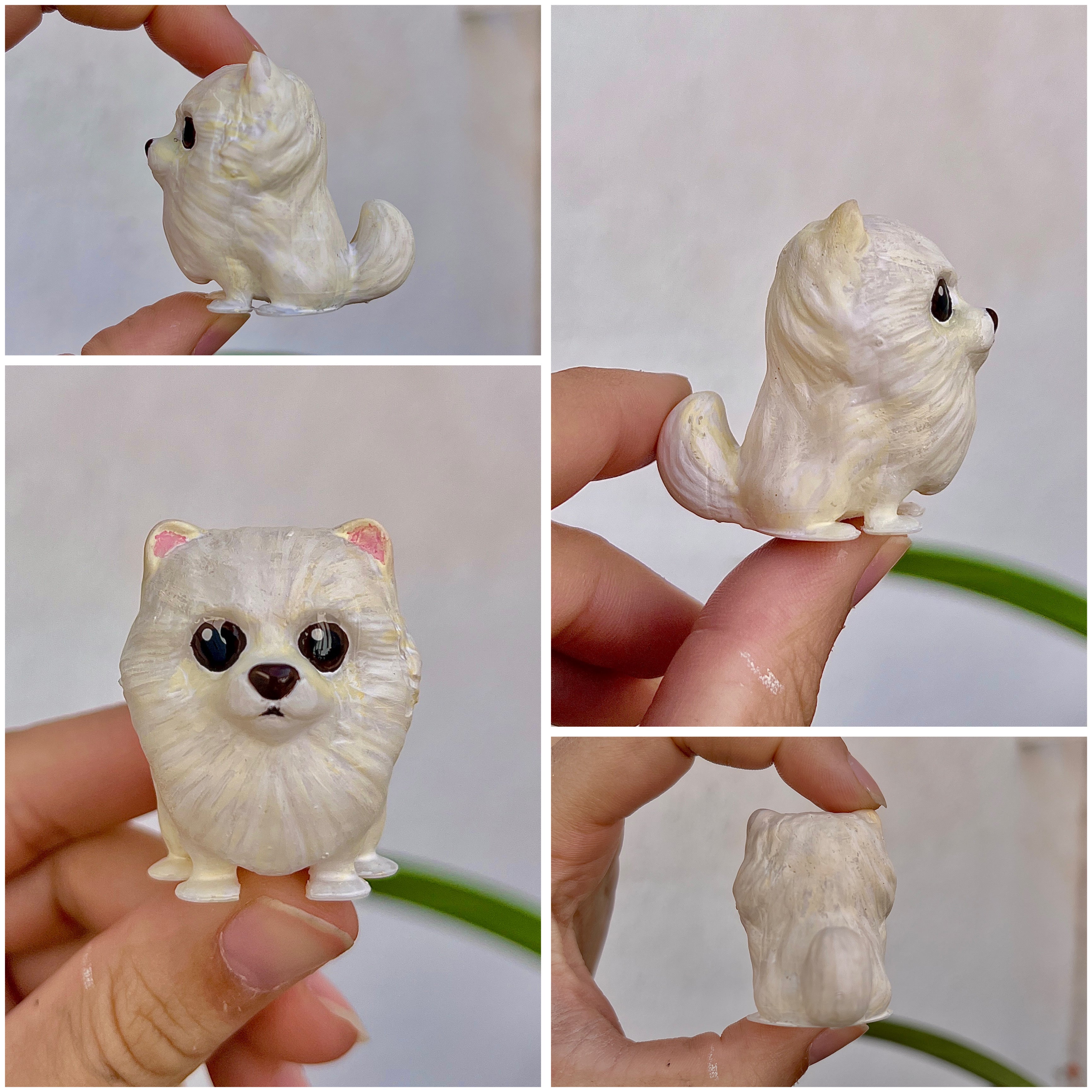 Pomerania estilo toy bolita