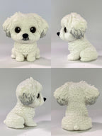 Bichon Frise - cabezón