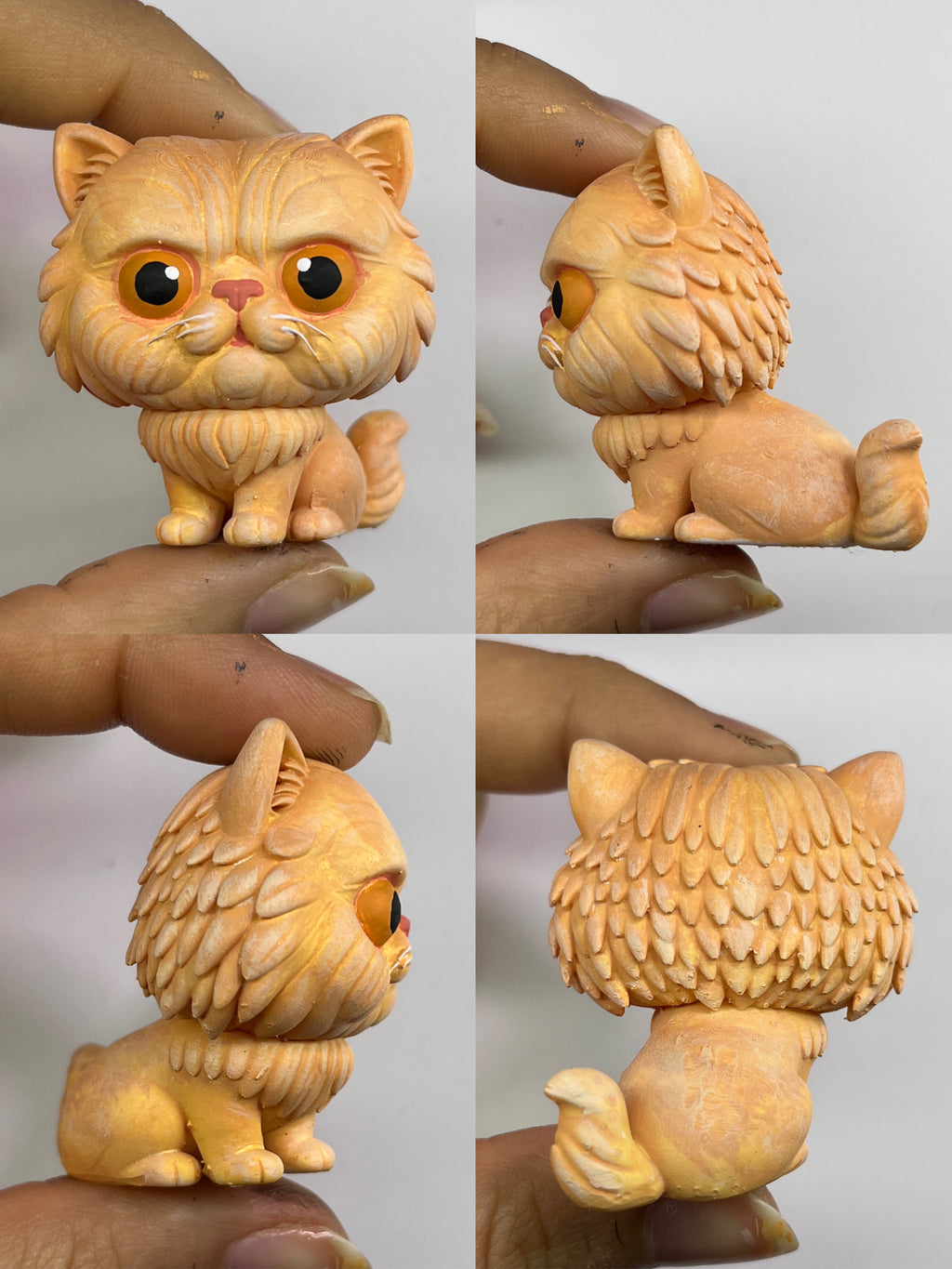 Gato Persian Gruñón - Cabezón