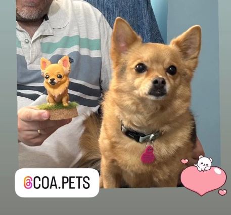 Figura personalizada de mascota : Pomchi (Chihuahua con Pomeranian)