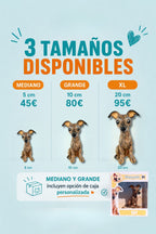 Galgo estilo toy