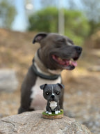 Figura personalizada de mascota : american pitbull terrier estilo cabezón