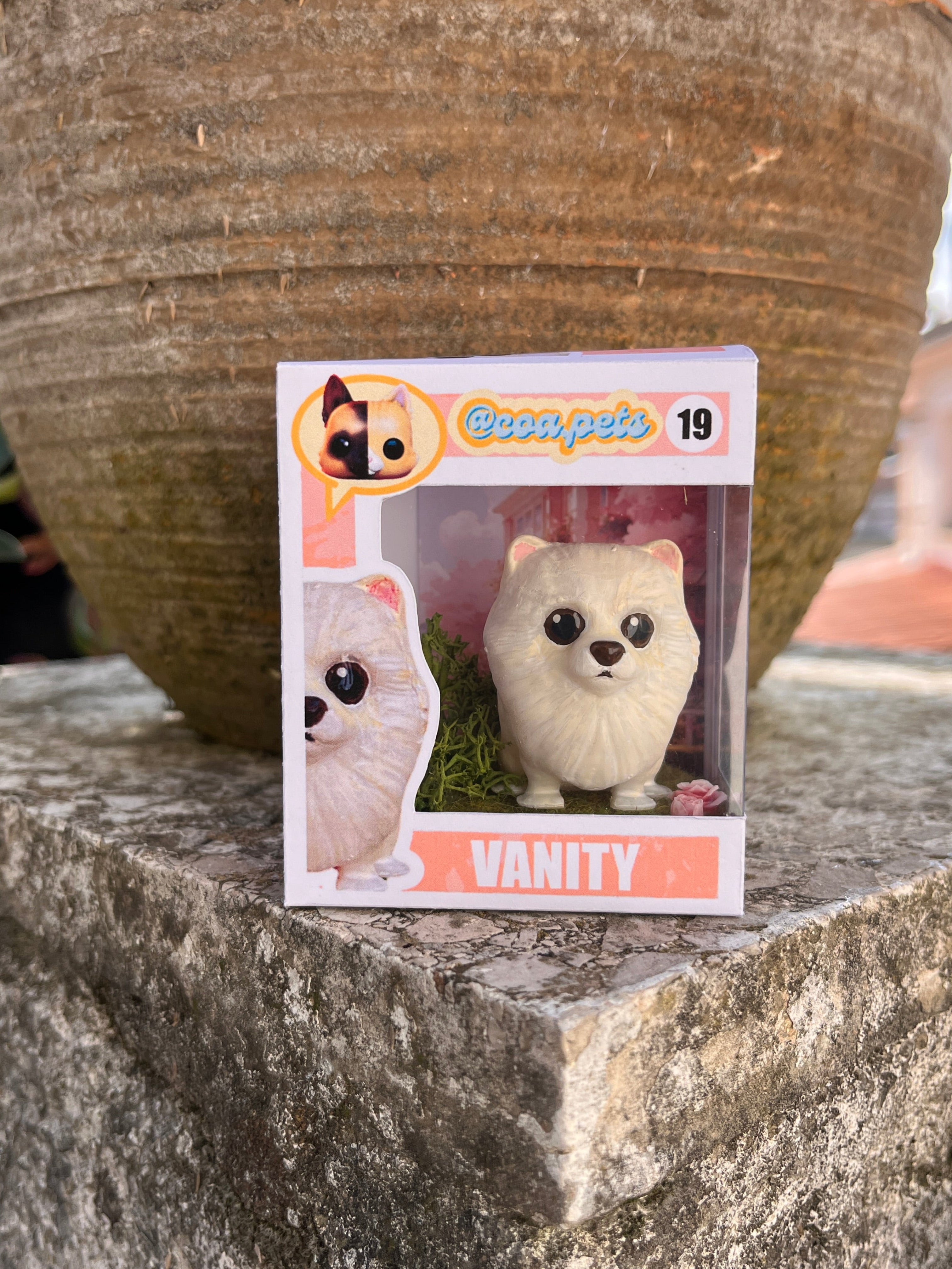 Pomerania estilo toy bolita
