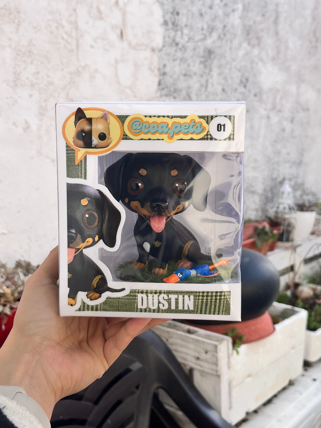 Figura personalizada de mascota : Teckel estilo cabezón lengua fuera