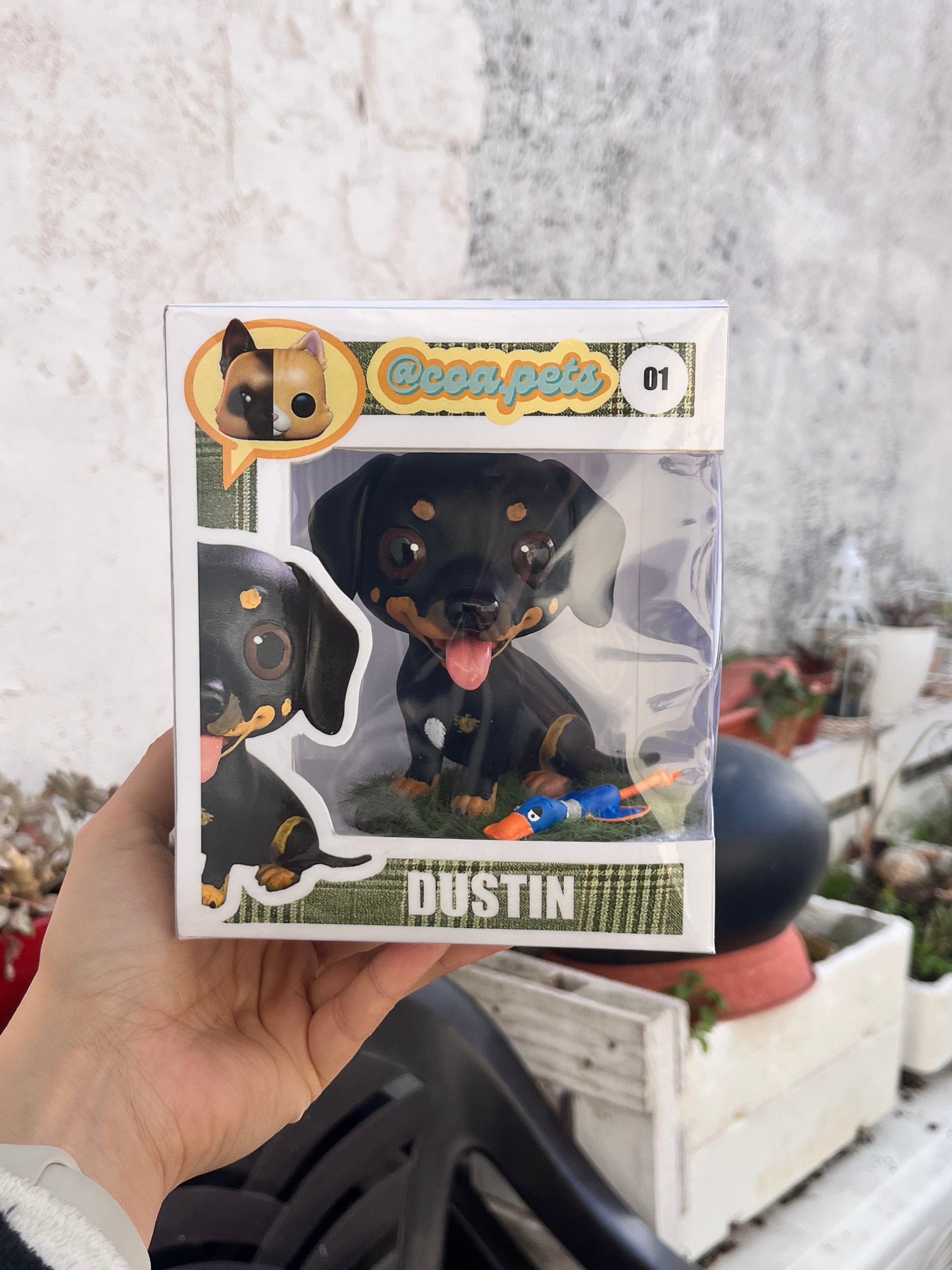 Figura personalizada de mascota : Teckel estilo cabezón lengua fuera
