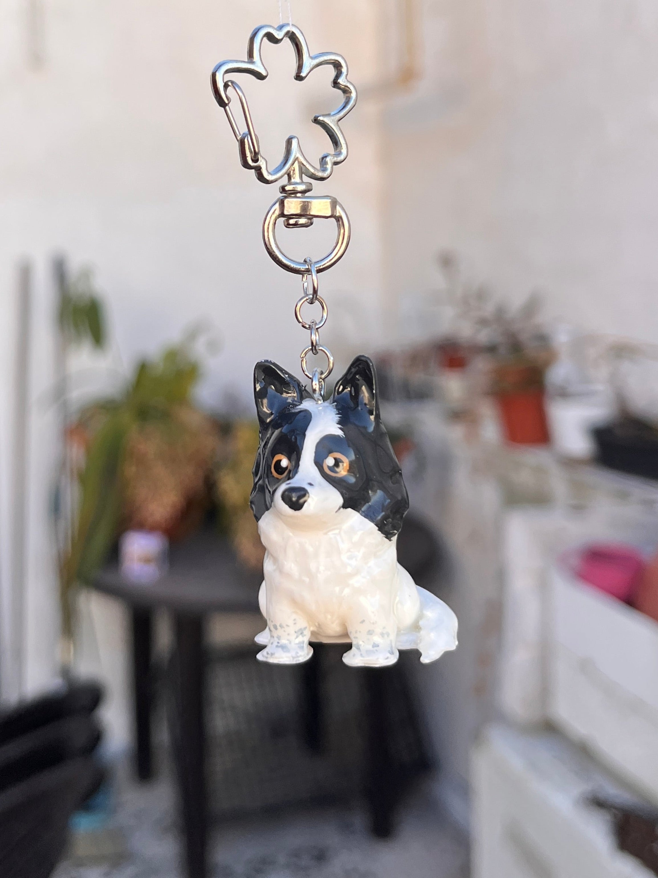 Border Collie - orejas en punta estilo toy