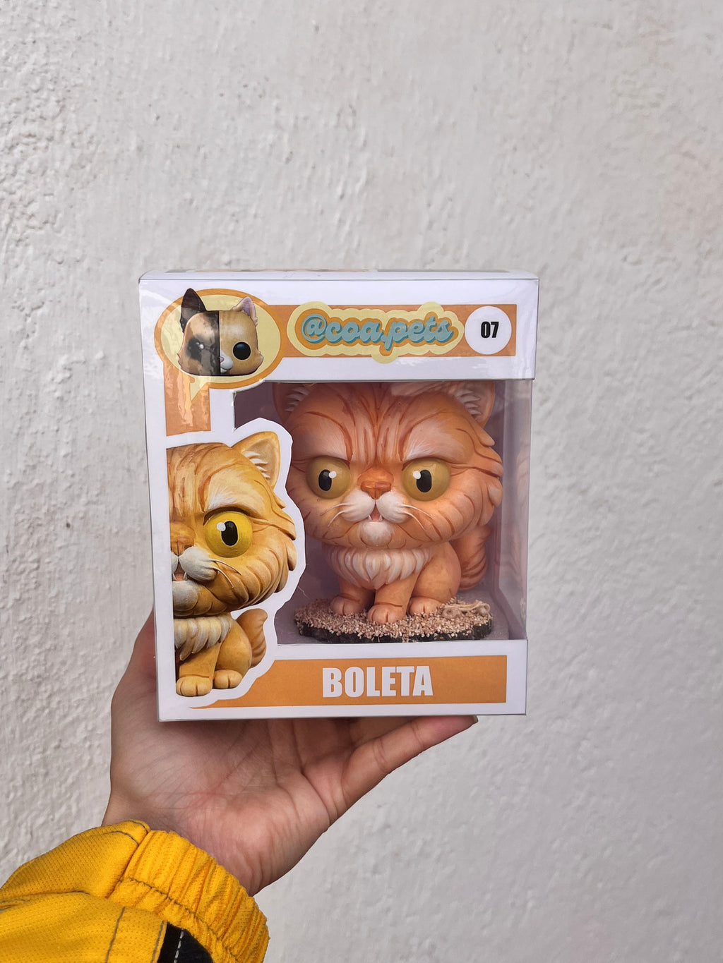 Gato Persian Gruñón - Cabezón