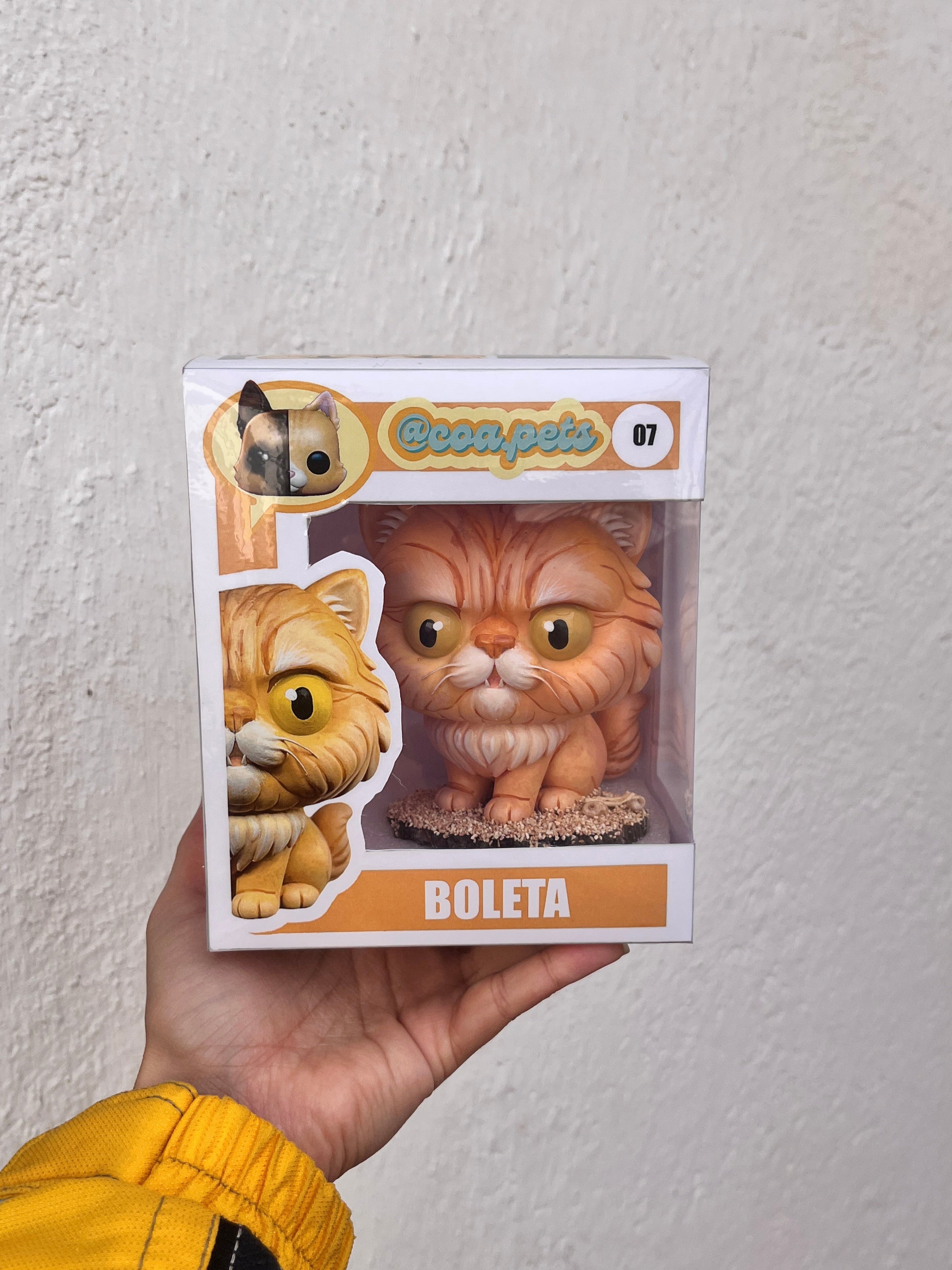 Gato Persian Gruñón - Cabezón
