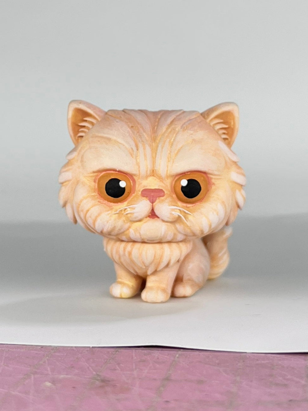 Gato Persian Gruñón - Cabezón