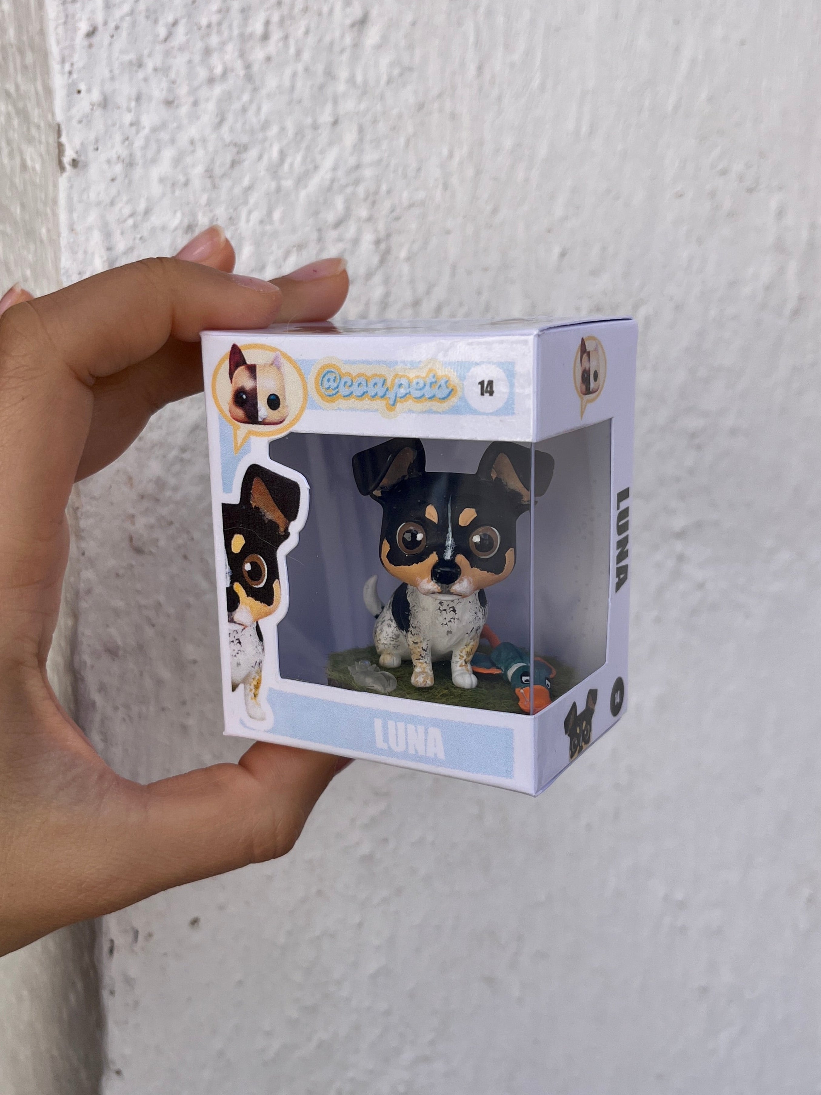 Caja Coleccionista Personalizada – El acabado Premium para tu figura