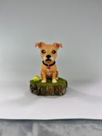 Figura personalizada de mascota : American Standford con collar trenzado estilo toy