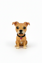 American Standford con collar trenzado estilo toy