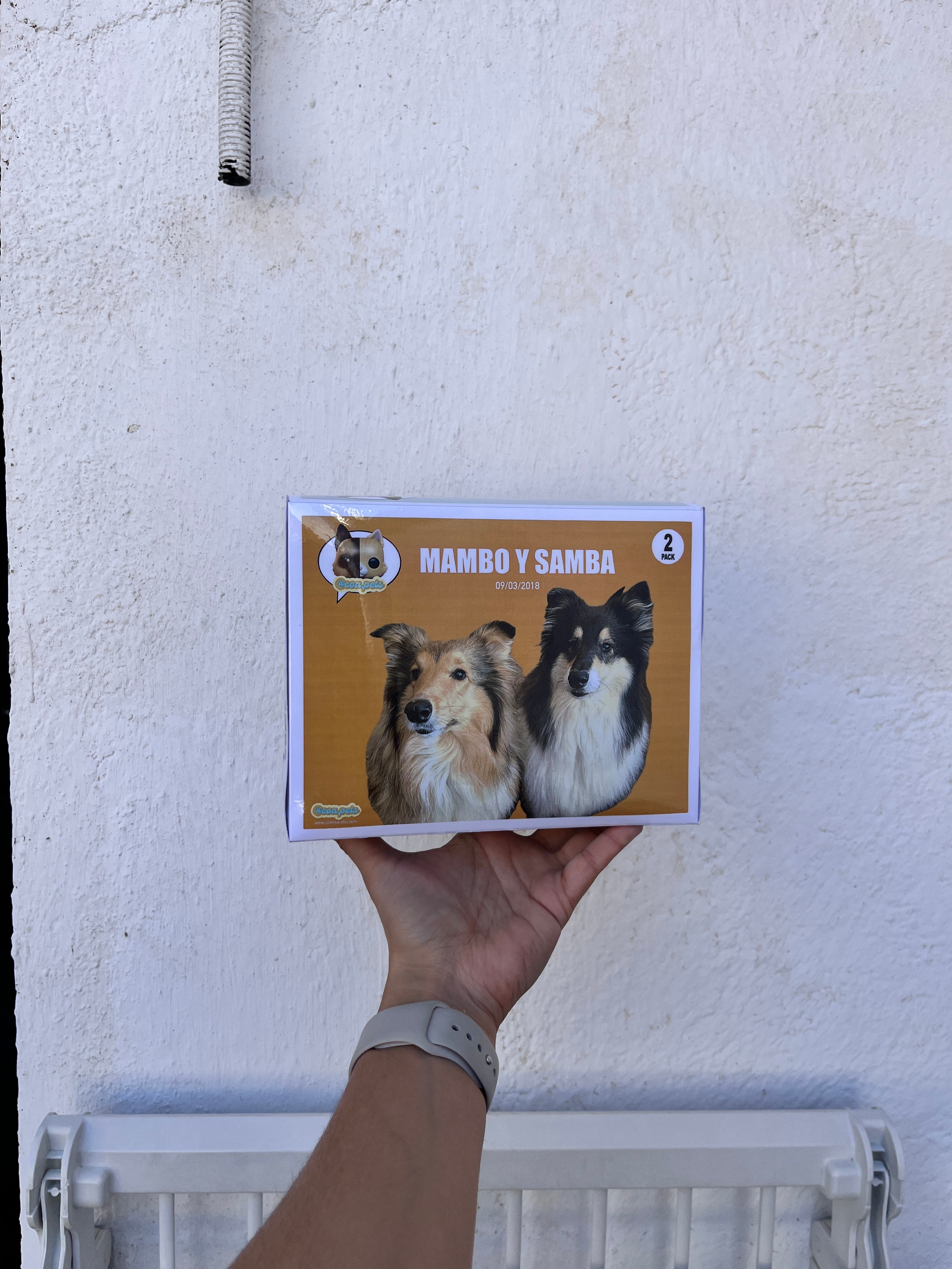 Figura Grande Con Caja Doble