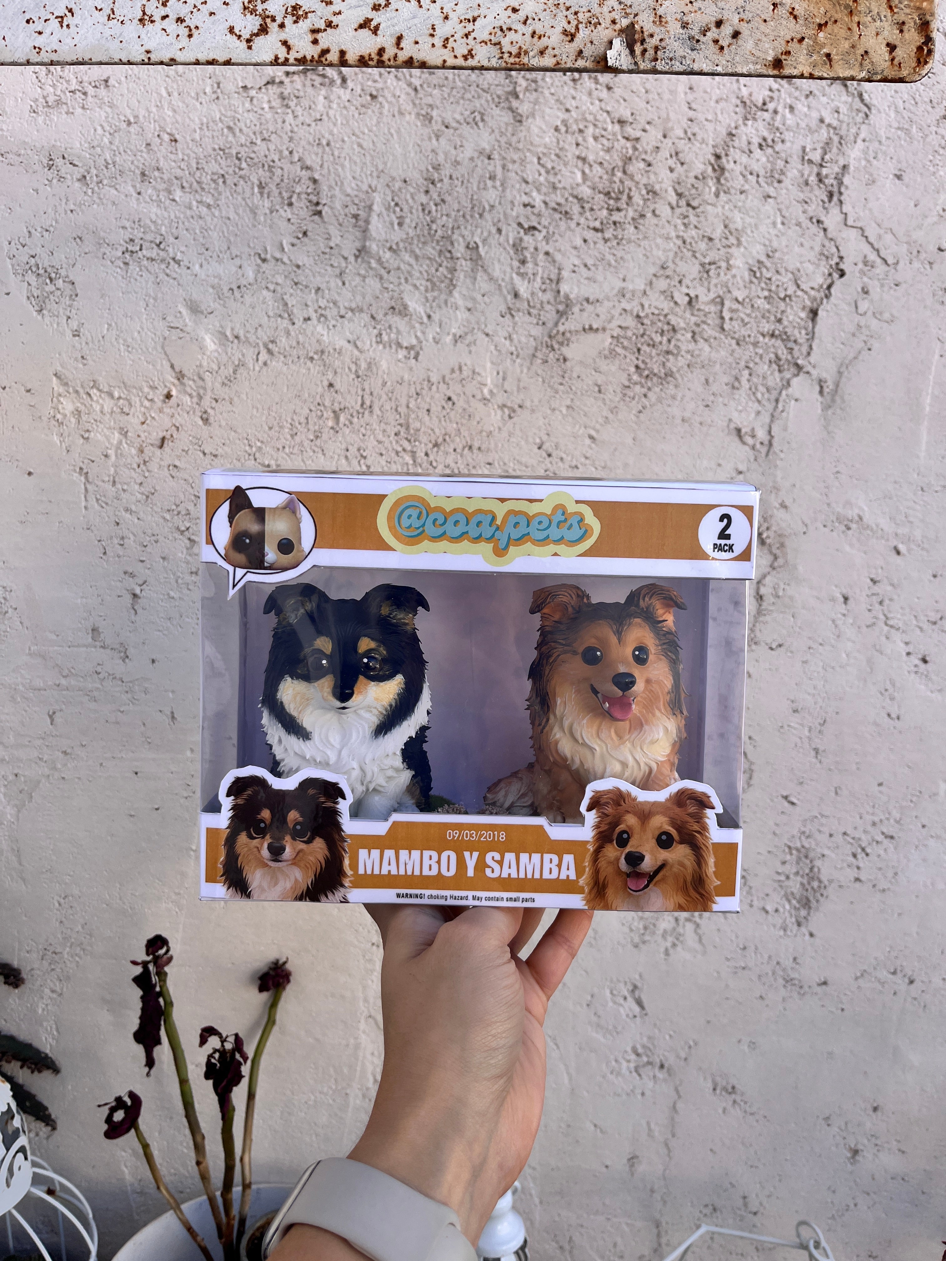 Figura Grande Con Caja Doble