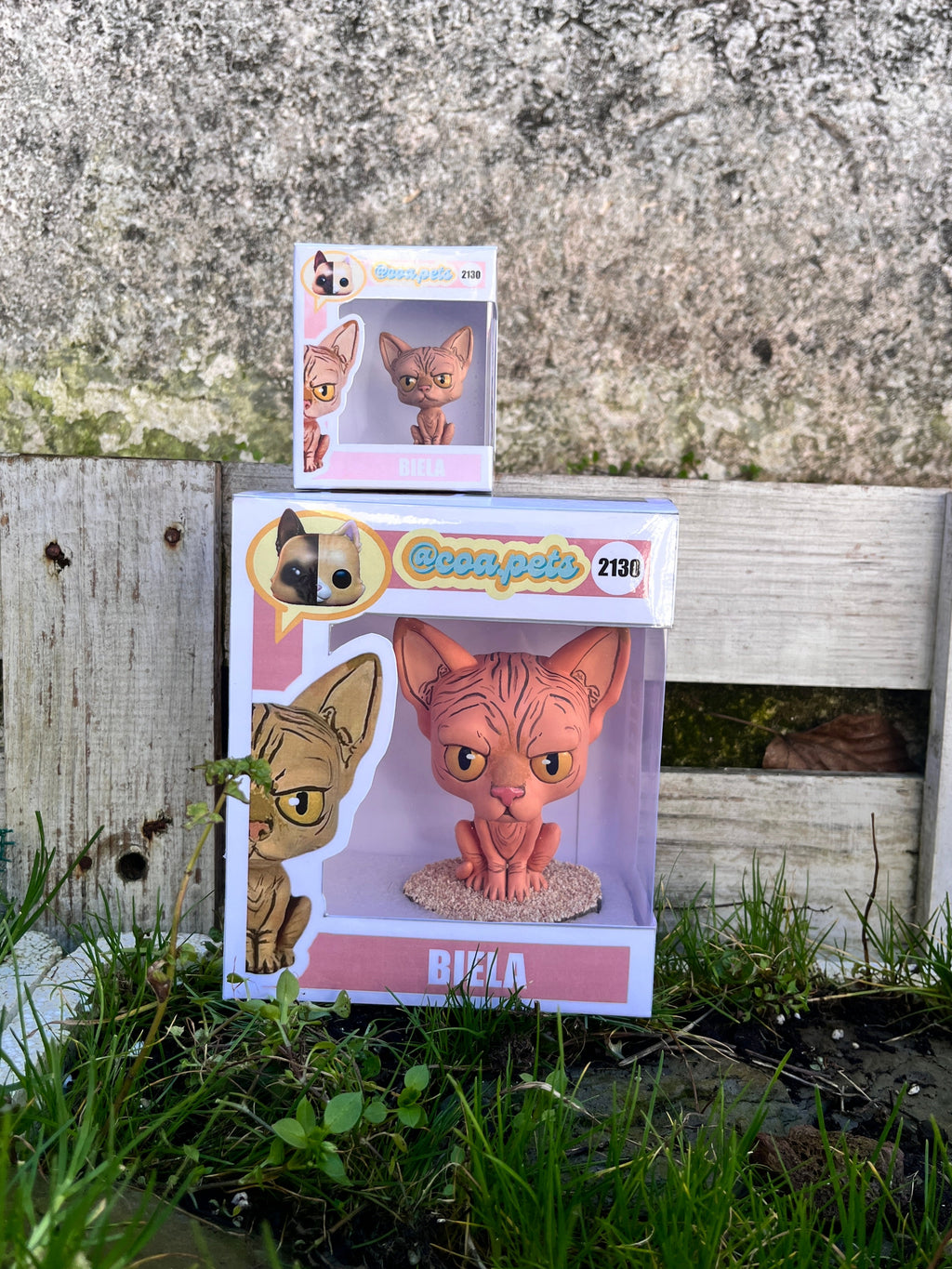 Figura personalizada de mascota : Gato Esfinge estilo Cabezón
