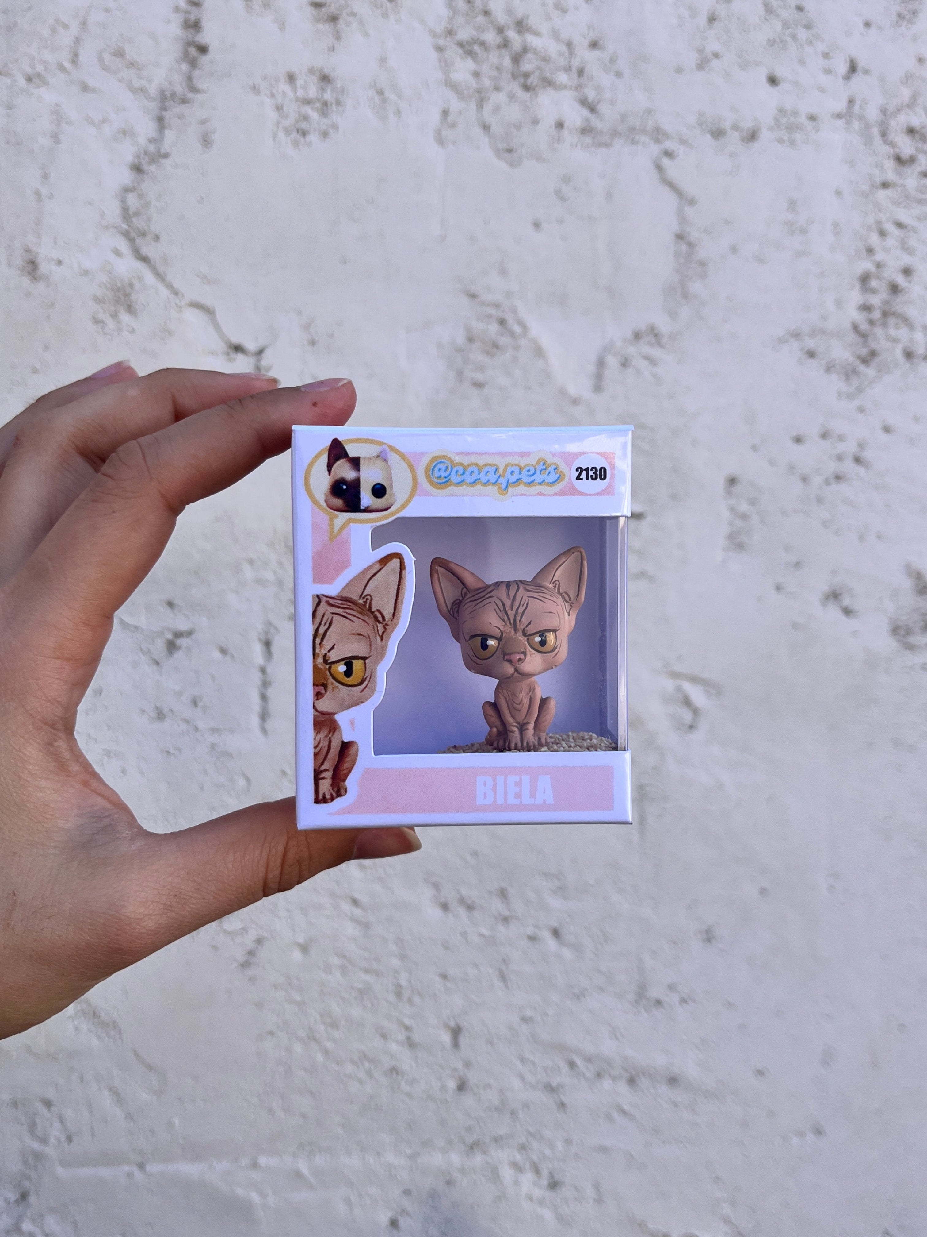 Figura personalizada de mascota : Gato Esfinge estilo Cabezón