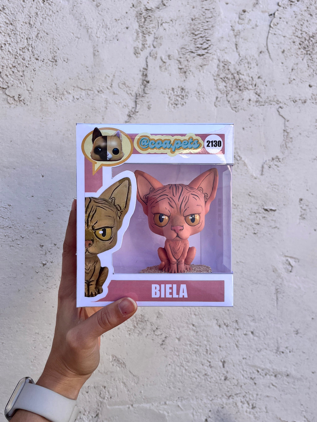 Figura personalizada de mascota : Gato Esfinge estilo Cabezón
