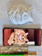 Busto decorativo de mascota : gato peludo