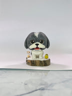 Shih Tzu - cabezón