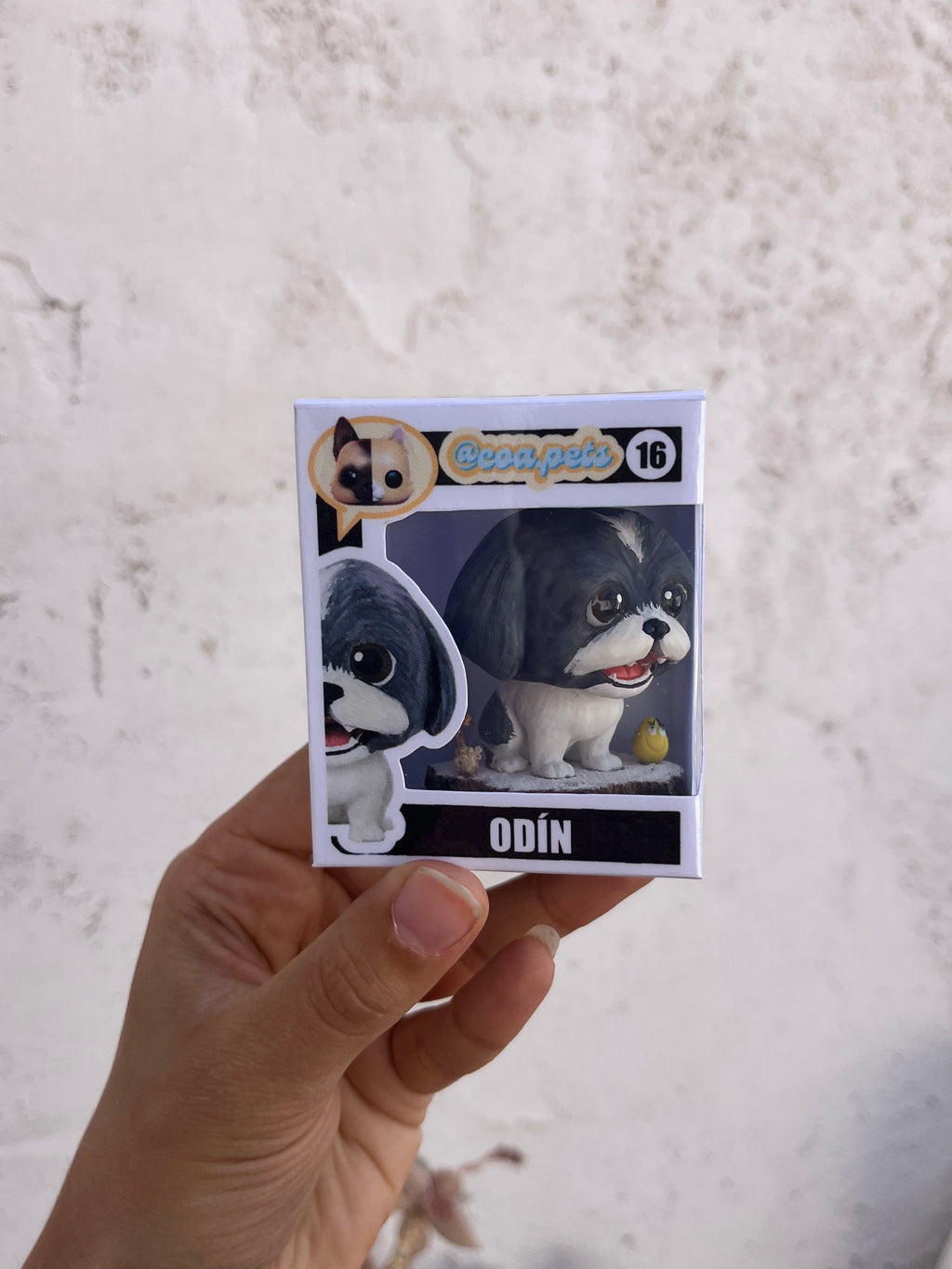 Shih Tzu - cabezón
