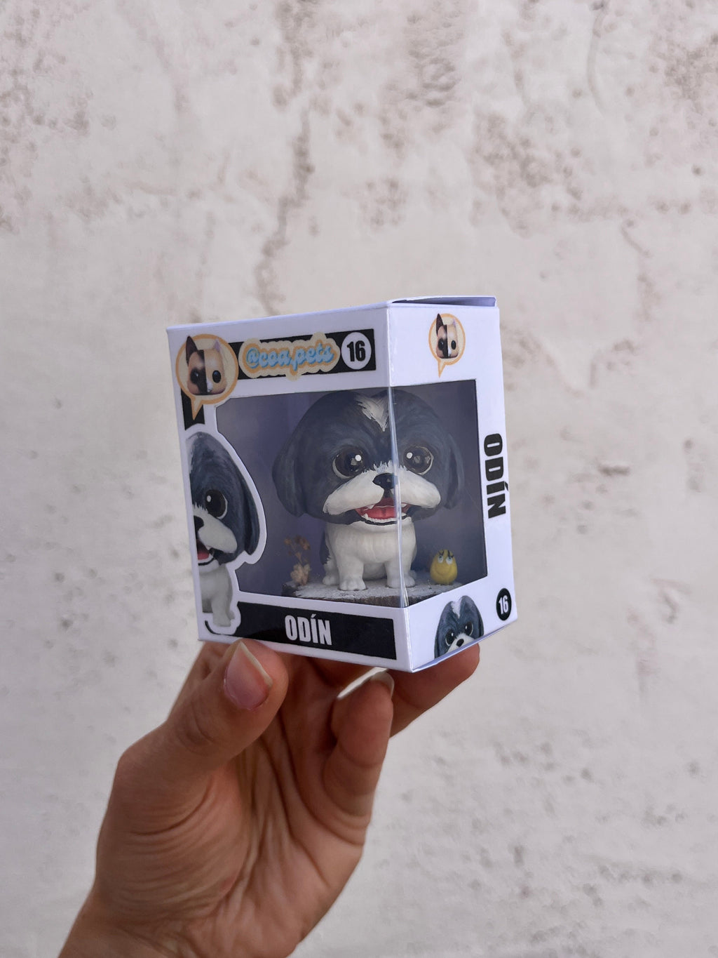 Shih Tzu - cabezón