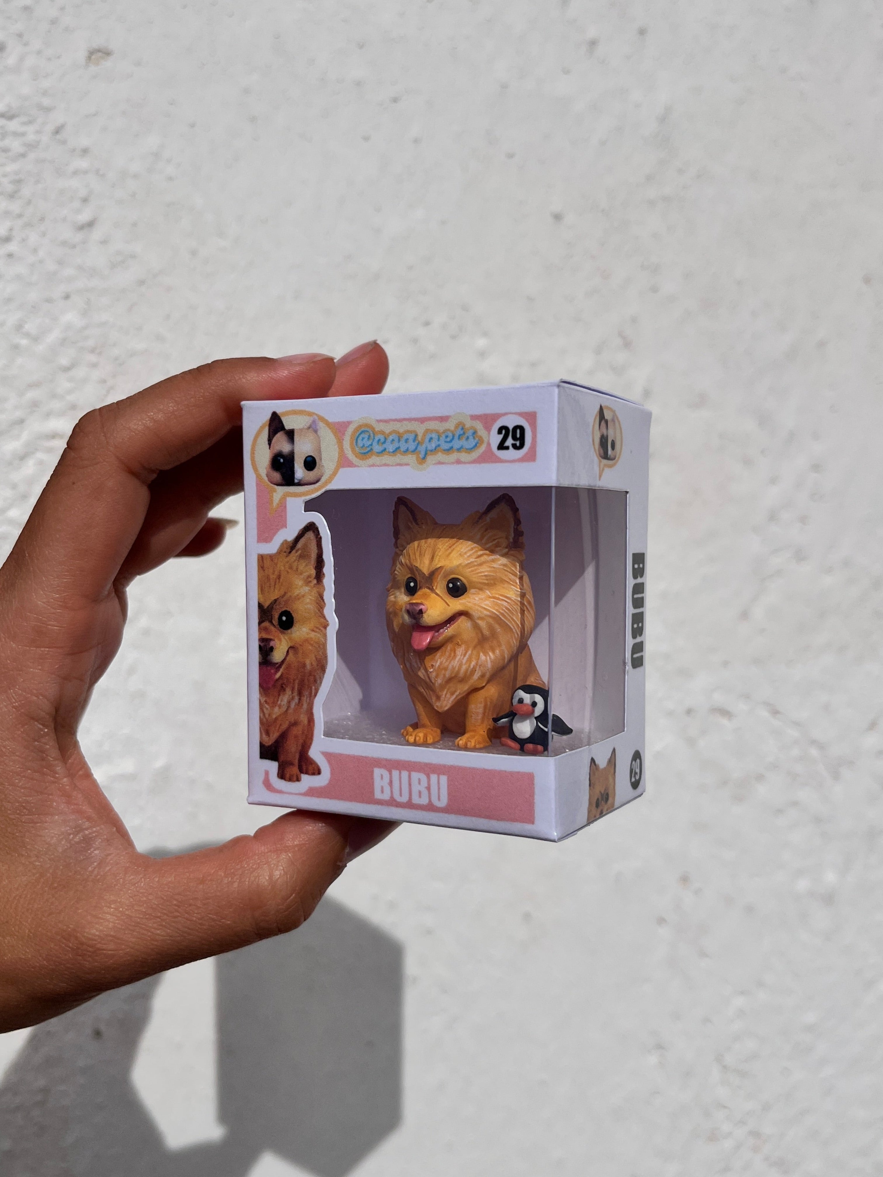 Pomerania estilo toy