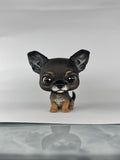 Figura personalizada de mascota : Chihuahua estilo cabezón