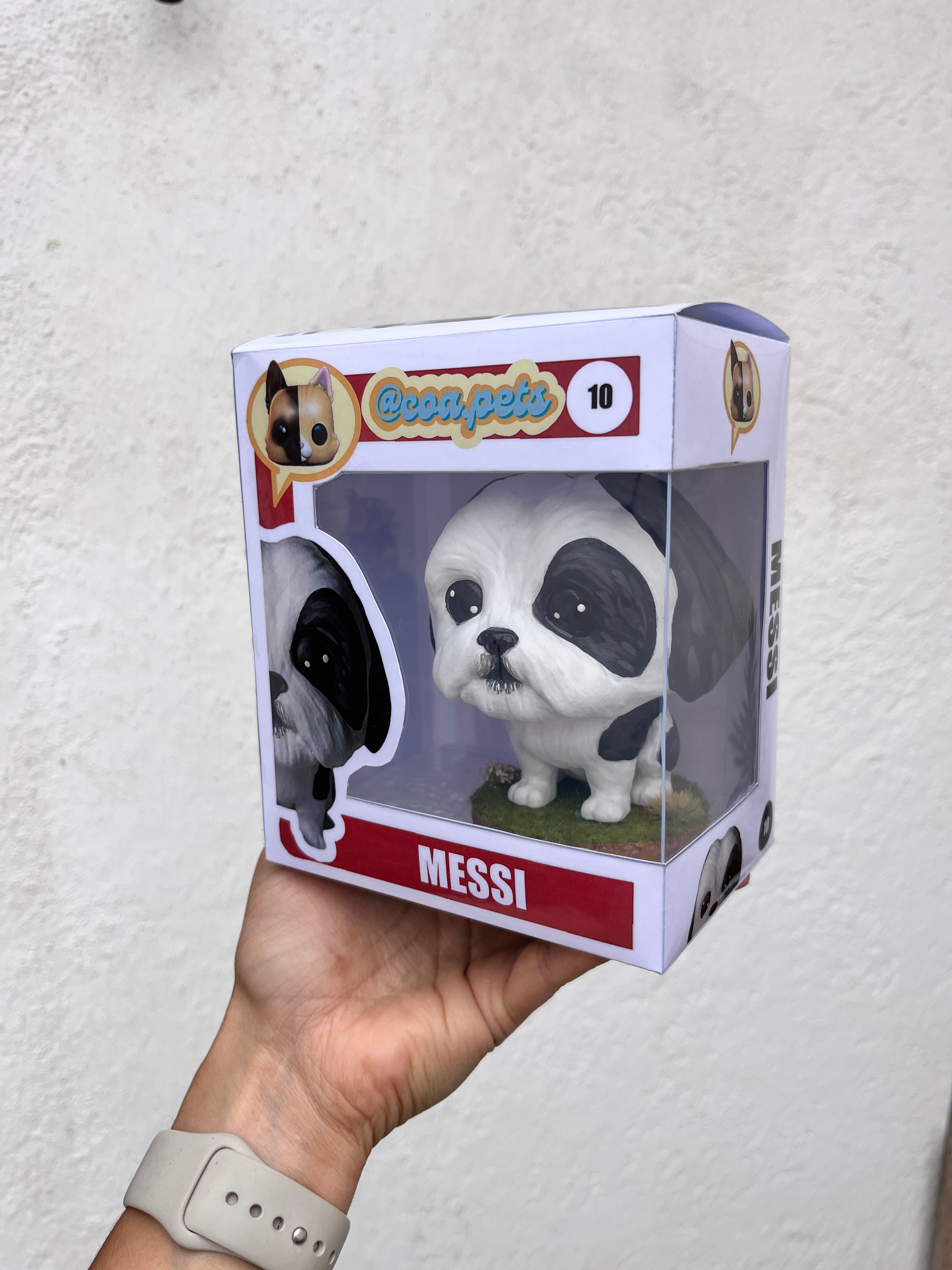 Shih Tzu - cabezón