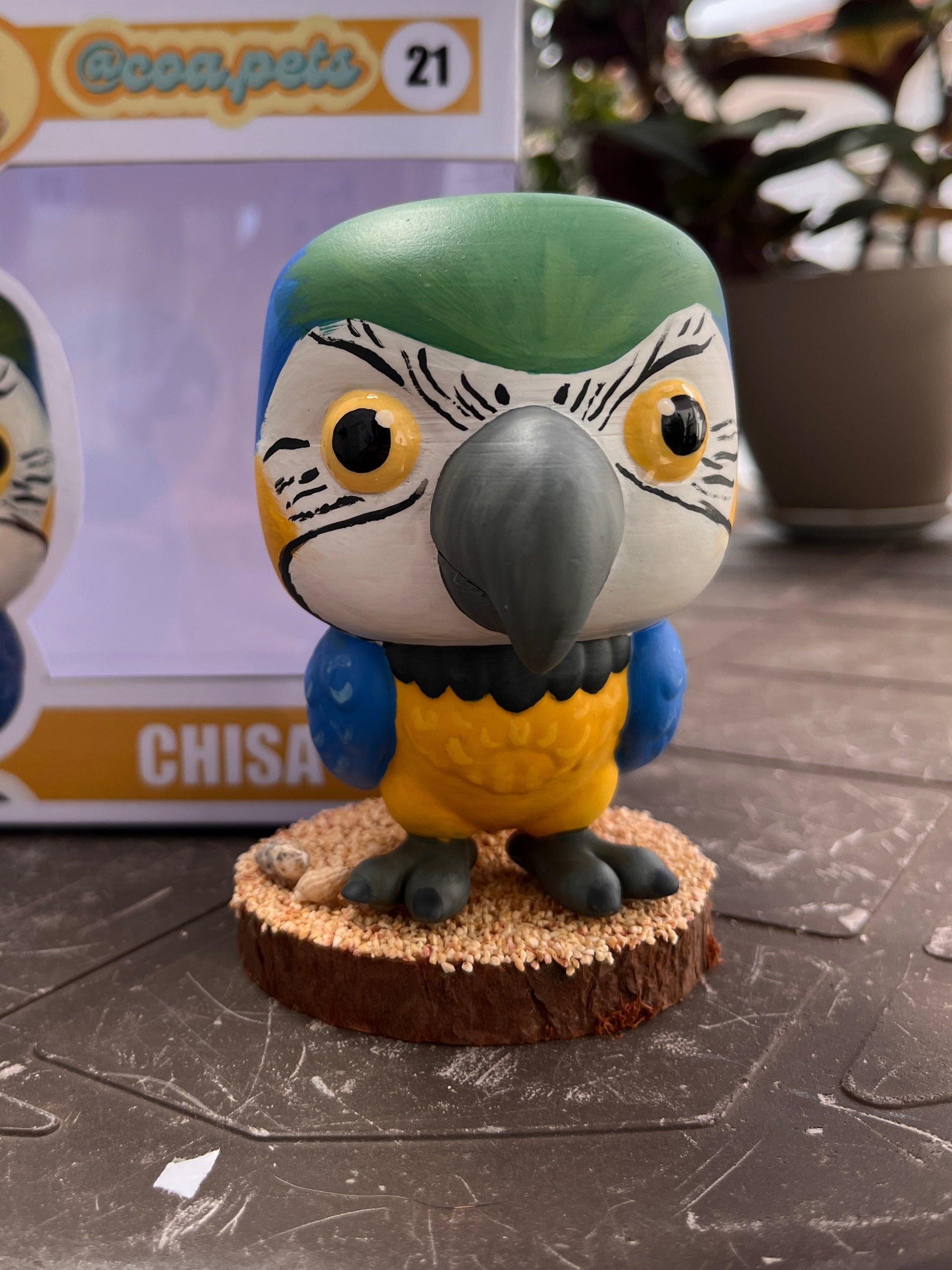 Bases para las figuras