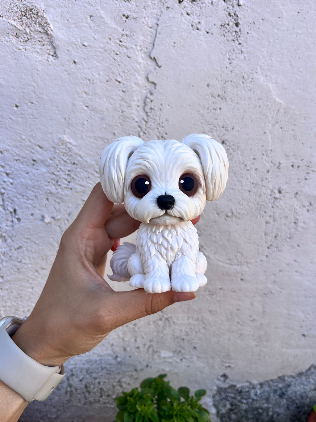 Bichón Maltés - estilo toy con coletas