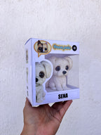 Bichón Maltés - estilo toy con coletas